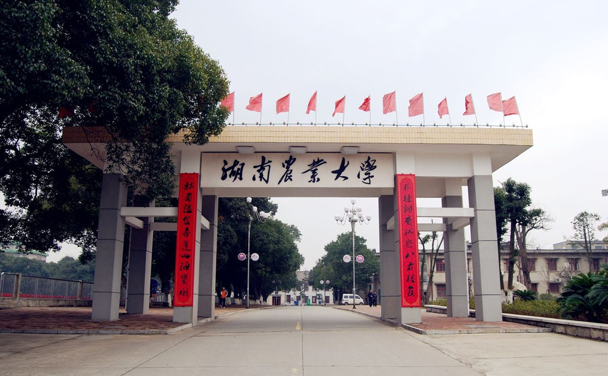 湖南農(nóng)業(yè)大學(xué)_副本.jpg